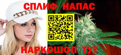 стаф Будённовск