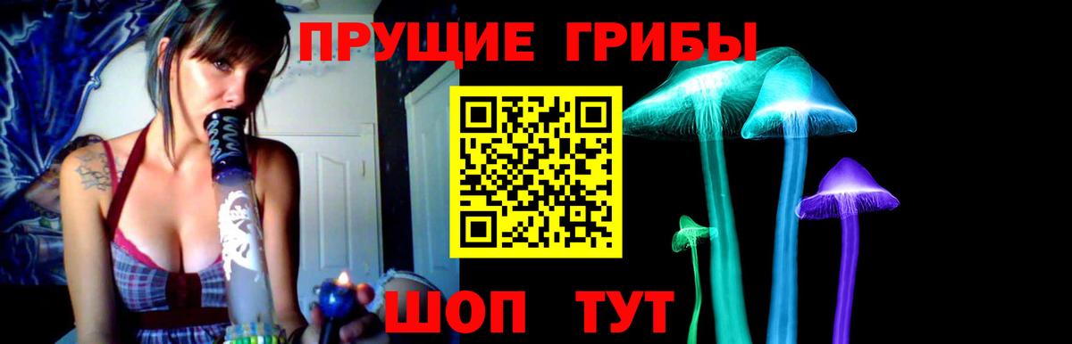 Псилоцибиновые грибы мицелий Якутск